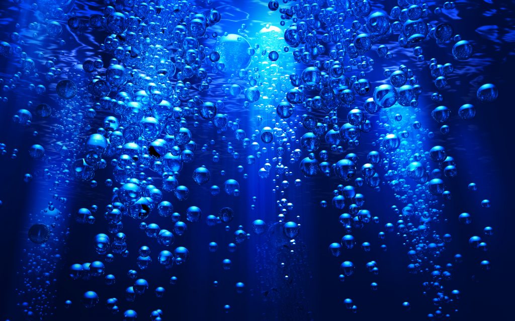 The Role of Dissolved Oxygen in Aquatic Life